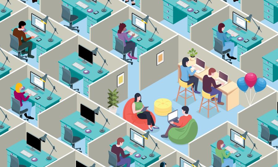 A start-up office amongst a group of cubicles